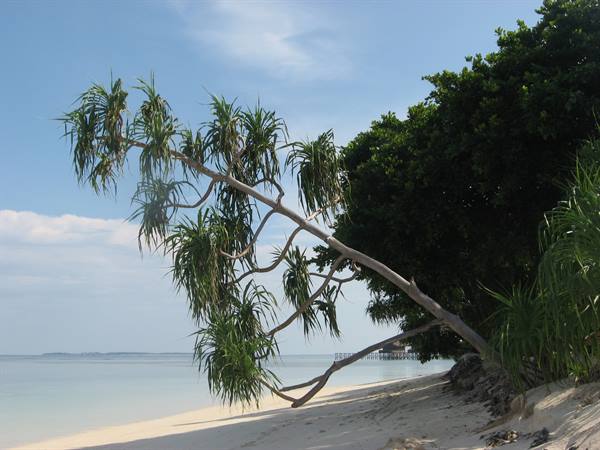 Pom Pom beach