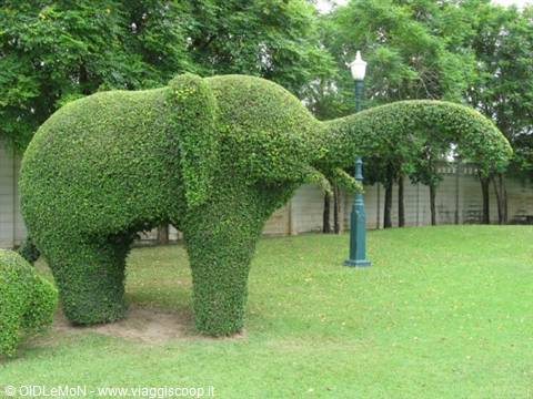 Elephant-shaped topiary hedge in a green park with lamppost