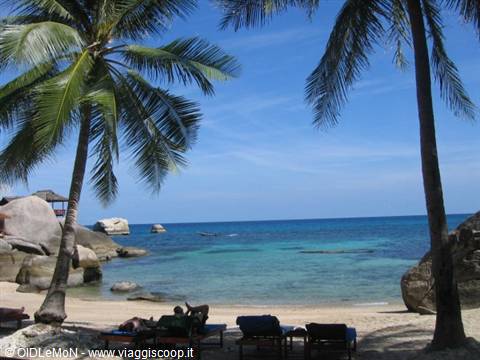 Palm trees over white sand beach with loungers and turquoise sea