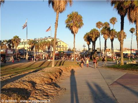 Venice beach