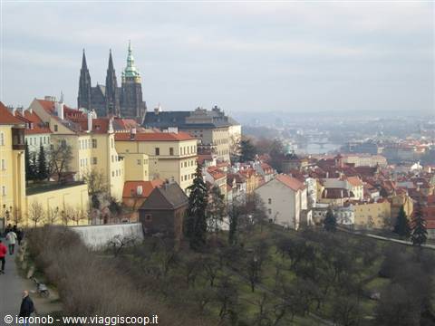 Panorama from the castle