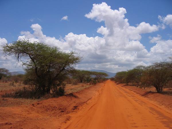 Red dirt road through acacia trees under white clouds, African savanna
