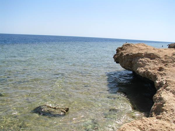 Coral rock formation over crystal-clear Red Sea water
