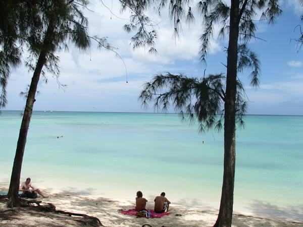 Beachgoers relaxing on towels under casuarina trees, white sand and turquoise water