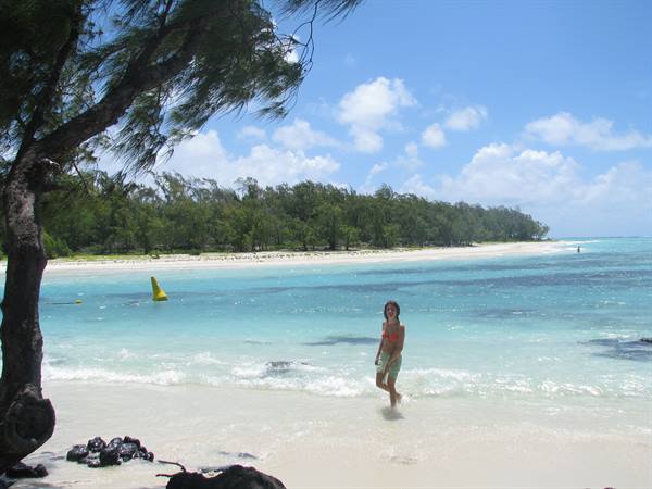 Woman in swimsuit walks in turquoise shallows between white sand and casuarina tree