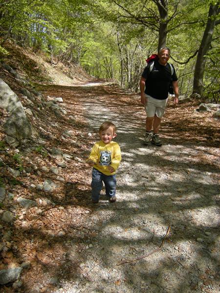 Toddler in yellow shirt walks on forest trail, man with backpack behind