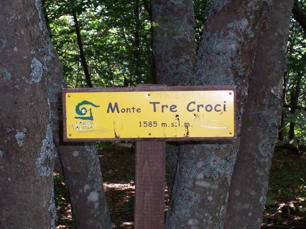 Yellow sign for Monte Tre Croci 1585 meters in Parco Sirente-Velino among beech trees