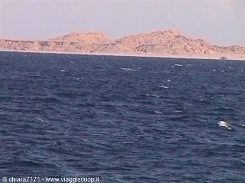 Blue waves in front of the rocky desert coastline of the Red Sea