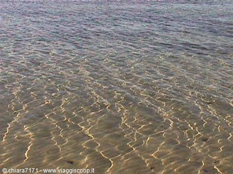 Clear shallow water over rippled sand, sunlight patterns on the shore