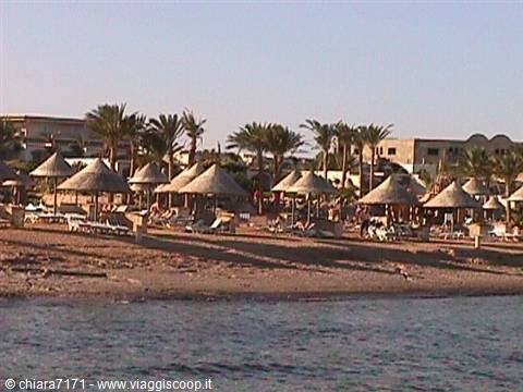 Beach with straw umbrellas, sun loungers and palm trees in front of hotels