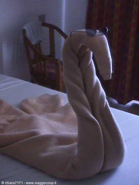 Swan folded from a towel on the bed, wearing sunglasses