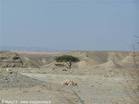 Desert