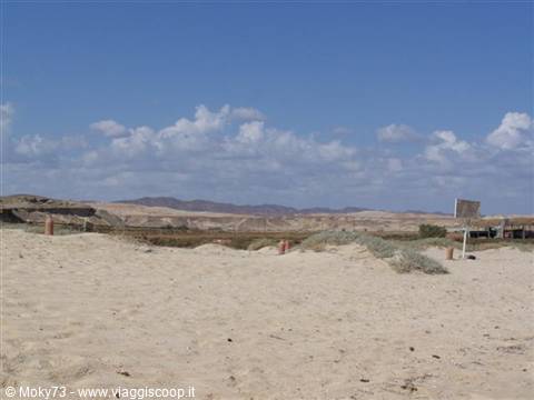 Walk along the beach