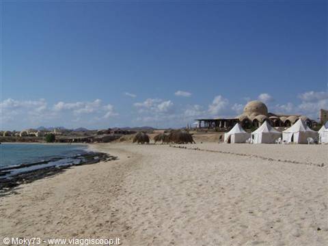 Walk along the beach