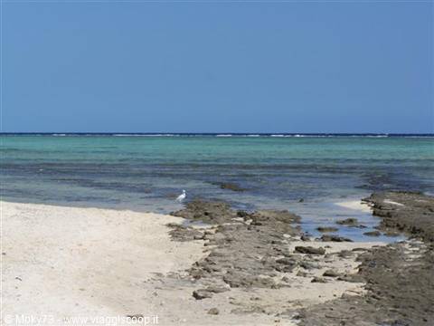 Walk along the beach