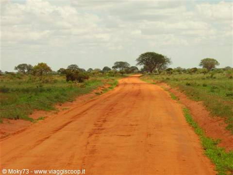 Red dirt road through savanna with acacia trees and cloudy sky