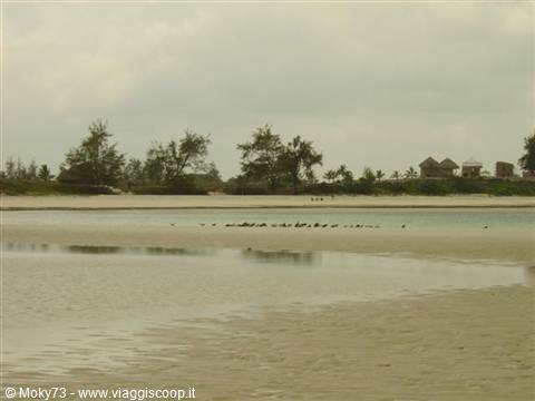 Island of Love