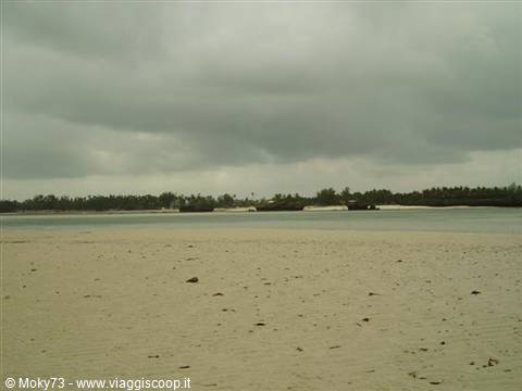 Island of Love