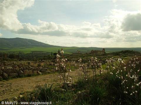 Roman ruins of Volubilis among wildflowers and green hills