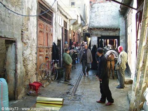 Alley in Fez medina, people and a donkey beside old wooden doors