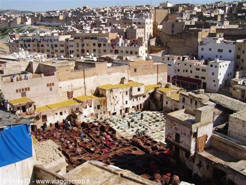 Hides in the dye pits of Chouara tannery, Fez