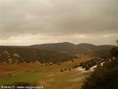 Dry hills with scattered trees and cultivated fields under cloudy sky, Middle Atlas