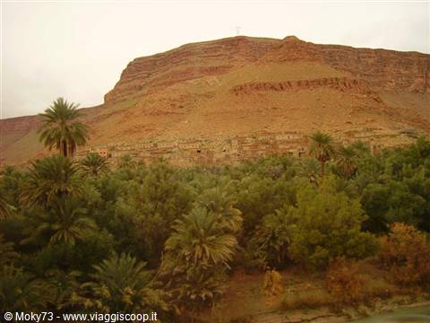 Palm grove beneath an earthen village and ochre mountain
