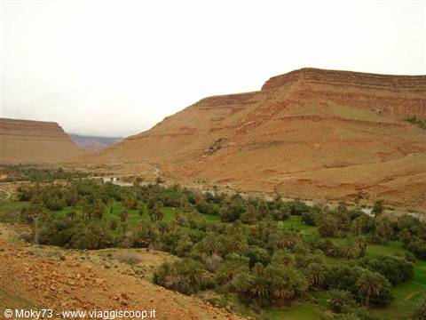 Green palms and crops in the oasis among ochre mountain valley