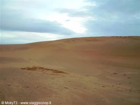 Sand dunes of the erg under grey clouds, Sahara desert