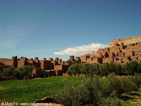 Ait Benhaddou, mud-brick buildings under blue sky, green olive trees in front