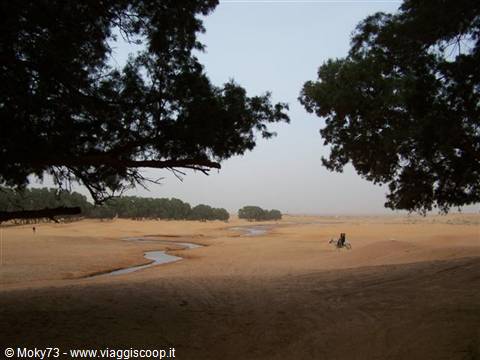 Desert behind the Ksar Ghilane tent camp