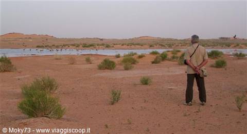 Man in beige shirt watching a waterhole among sandy dunes and shrubs