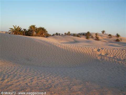 Camel ride at sunset in the desert of Douz
