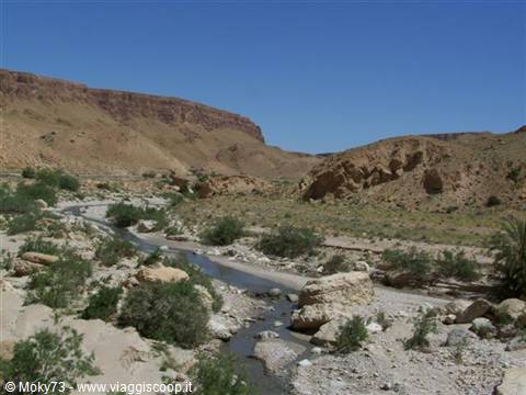 Stream winding between rocks and green shrubs, ochre canyon walls under blue sky