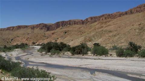 Dry riverbed with palms and red cliffs along the wadi, blue sky
