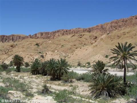 Palm oasis among arid rocky cliffs under a blue sky