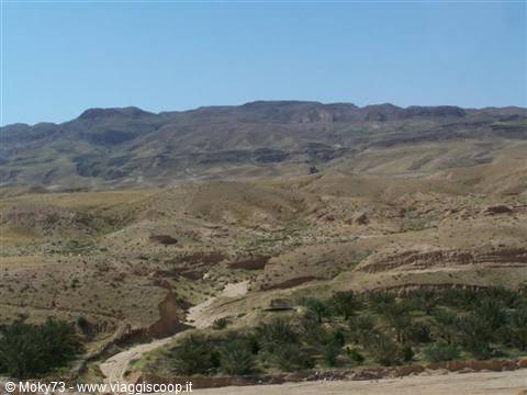 Palm oasis among arid hills and rocky mountains under blue sky