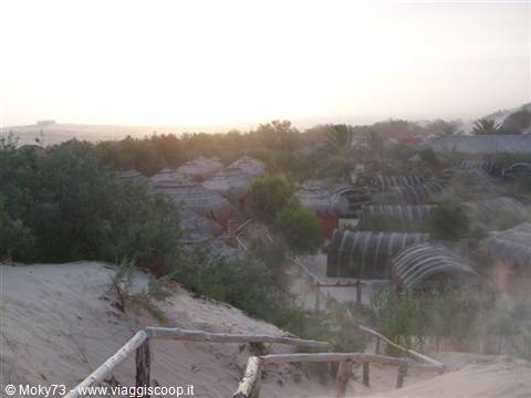 Camp in the Zaafrane Oasis
