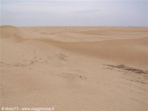 Golden sand dunes stretch under a pale sky, dry branches nearby
