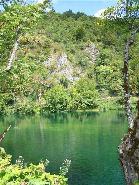Green lake surrounded by forest, tree trunks and rocks in summer light