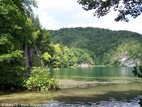 Green lake surrounded by dense forest, marshy shore and white cliff, Plitvice Lakes