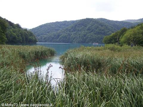 Turquoise lake among reeds and woods, Plitvice