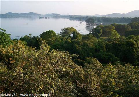 Lake surrounded by lush jungle and misty hills at Tissamaharama