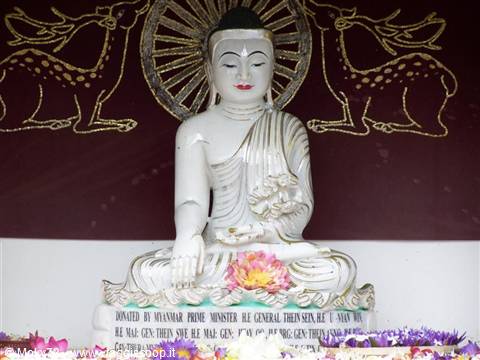 White seated Buddha statue with flower offerings and painted golden deer
