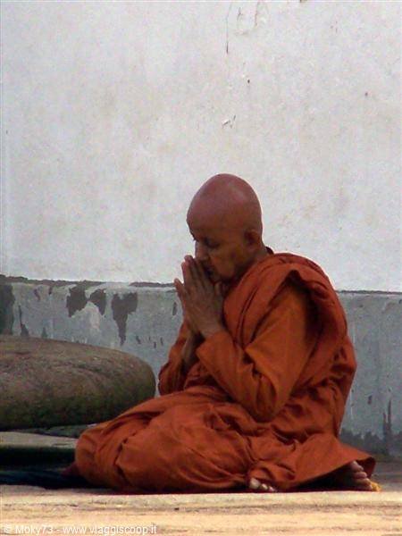 Buddhist monk in orange robe prays seated with joined hands against white wall