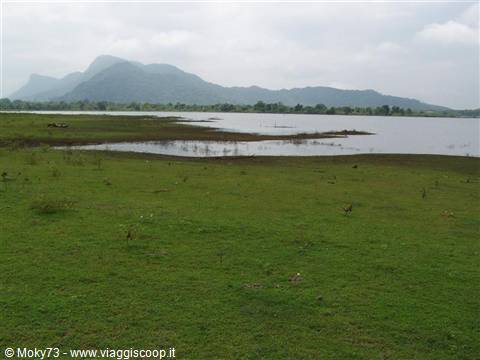 Lake surrounded by green grassland and misty mountains