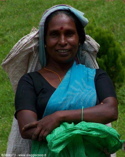 Smiling Tamil woman with bindi and blue sari in the tea plantations