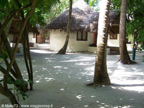 Thatched-roof bungalows among palm trees on white sand, Maldives