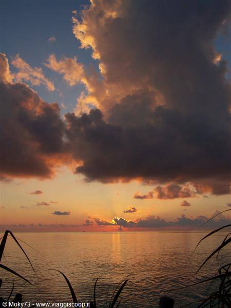Golden clouds over calm sea at first light, palm leaves in the foreground