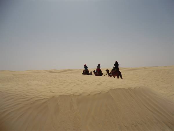 Tourists riding camels across desert sand dunes